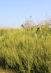 Pohod-po-bizeljskih-pešpoteh-ob-Sotli-2019-17