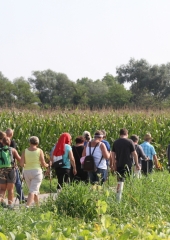 Pohod-po-bizeljskih-pešpoteh-ob-Sotli-2019-23