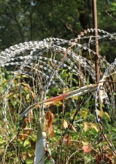 Pohod-po-bizeljskih-pešpoteh-ob-Sotli-2019-26