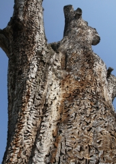 Pohod-po-bizeljskih-pešpoteh-ob-Sotli-2019-38