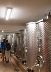 Pohod-po-bizeljskih-pešpoteh-ob-Sotli-2019-39