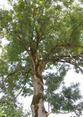 Pohod-po-bizeljskih-pešpoteh-ob-Sotli-2019-49