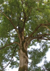 Pohod-po-bizeljskih-pešpoteh-ob-Sotli-2019-50