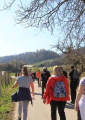 Pohod od sv. Magdalene do sv. Vida 2019 (17)