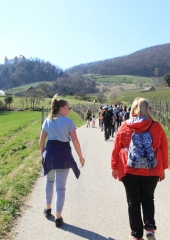 Pohod od sv. Magdalene do sv. Vida 2019 (18)
