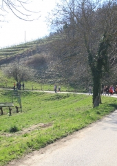 Pohod od sv. Magdalene do sv. Vida 2019 (22)