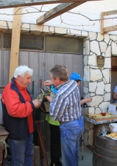 Pohod od sv. Magdalene do sv. Vida 2019 (35)