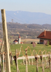 Pohod od sv. Magdalene do sv. Vida 2019 (42)