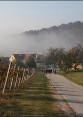 Pohod po bizeljski grajski poti 2018 (13)
