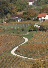 Pohod po bizeljski grajski poti 2018 (38)