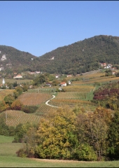 Pohod po bizeljski grajski poti 2018 (39)