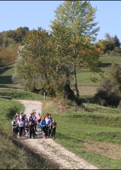 Pohod po bizeljski grajski poti 2018 (42)