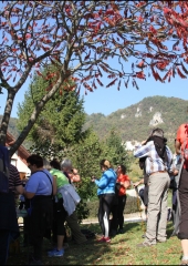 Pohod po bizeljski grajski poti 2018 (47)