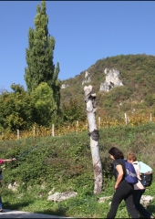 Pohod po bizeljski grajski poti 2018 (49)