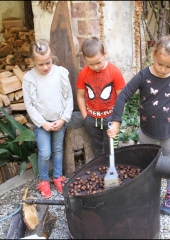 Pohod po bizeljski grajski poti 2018 (65)