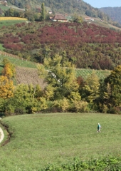 Pohod po grajski poti 2017 (41)