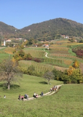 Pohod po grajski poti 2017 (47)