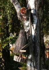 Pohod po grajski poti 2017 (8)