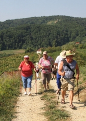 Pohod po Orešju 2017 (24)
