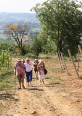 Pohod po Orešju 2017 (26)