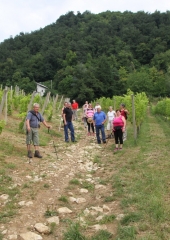 Letošnji pohod po Orešju 2018 (33)
