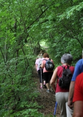 Letošnji pohod po Orešju 2018 (65)