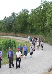 Pohod po Vidovi poti 2017 (67)