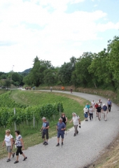 Pohod po Vidovi poti 2017 (68)