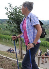 Pohod po Vidovi poti 2017 (71)