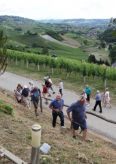 Pohod po Vidovi poti 2017 (72)