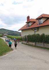 Pohod po Vidovi poti 2017 (86)