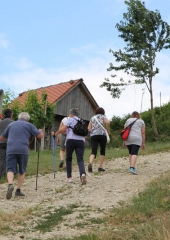Pohod po Vidovi poti 2017 (87)