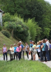 Pohod po Vidovi poti 2018 (37)
