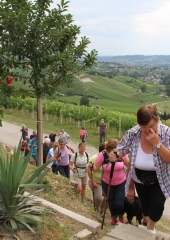Pohod po Vidovi poti 2018 (45)