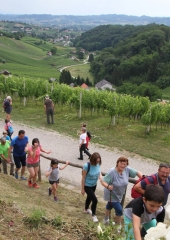 Pohod po Vidovi poti 2018 (47)