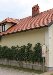 Pohod po Vidovi poti 2018 (53)