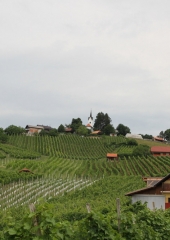 Pohod po Vidovi poti 2018 (59)