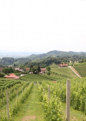 Pohod po Vidovi poti 2018 (60)