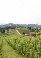 Pohod po Vidovi poti 2018 (61)
