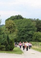 Pohod po Vidovi poti 2018 (7)