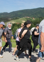 Pohod-po-Vidovi-poti-Bizeljsko-2026-10
