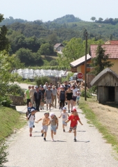 Pohod-po-Vidovi-poti-Bizeljsko-2026-27