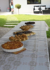 Pohod-po-Vidovi-poti-Bizeljsko-2024-12