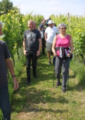 Pohod-po-Vidovi-poti-Bizeljsko-2024-16