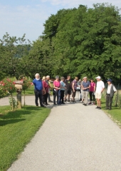 Pohod-po-Vidovi-poti-Bizeljsko-2024-7