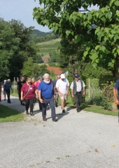 Pohod-po-Vidovi-poti-Bizeljsko-2024-8