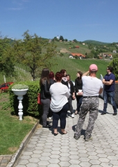 Praznik vina na Bizeljskem 2017 (23)
