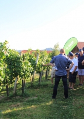 Predstavitev-škropilnega-programa-pri-Balonovih-Bizeljsko-2019-12