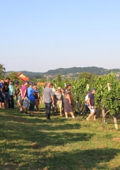 Predstavitev-škropilnega-programa-pri-Balonovih-Bizeljsko-2019-20