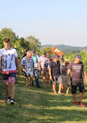 Predstavitev-škropilnega-programa-pri-Balonovih-Bizeljsko-2019-24